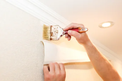 Pose de papier peint à Cros-de-Géorand — revêtements muraux et toiles de verre